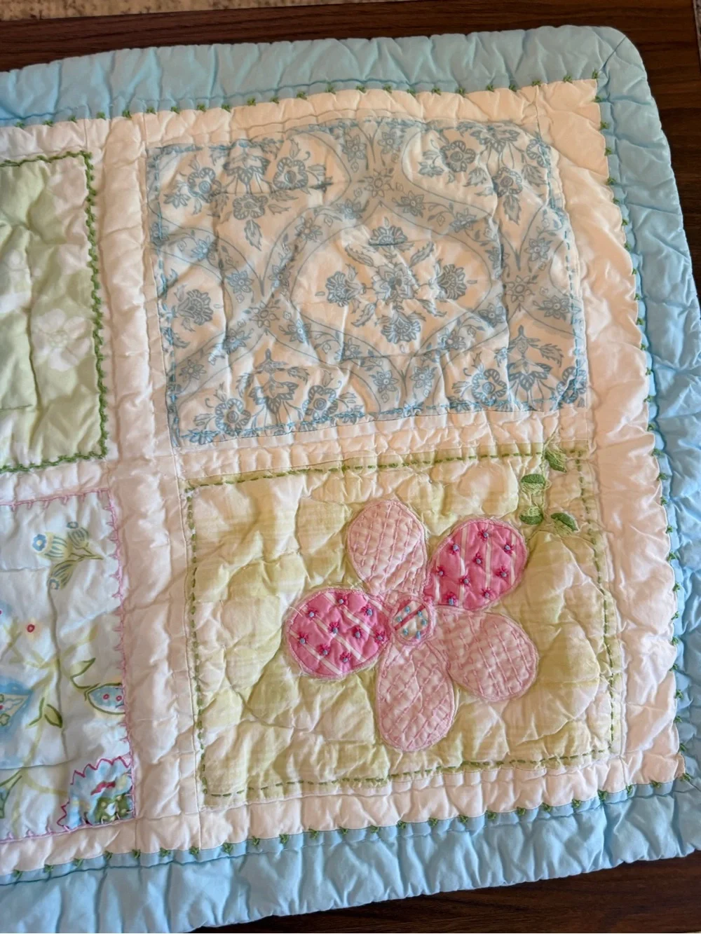 Set of 2 VTG Pottery Barn Kids Floral Quilted Pillow Shams 2006 Blue Standard